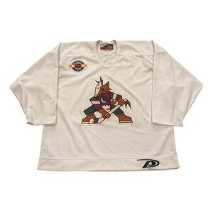Vintage Pro Player 1999-2000 Phoenix Coyotes Team Issued Practice Jersey White